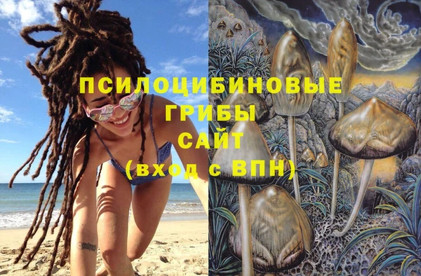 прущая мука Вяземский