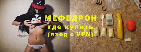 индика Волоколамск