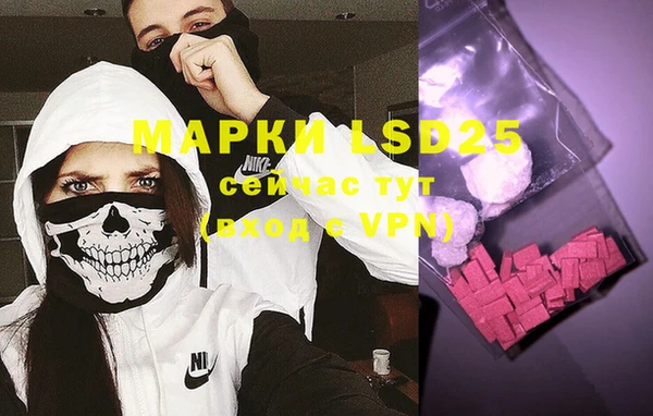 прущая мука Вяземский
