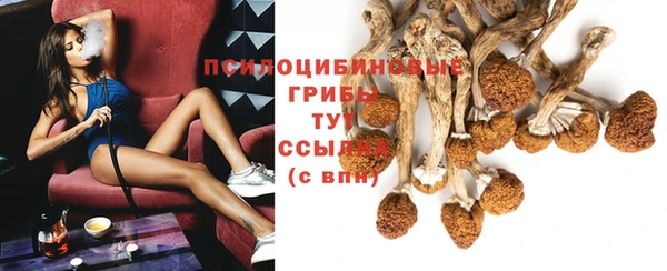 apvp Вязьма