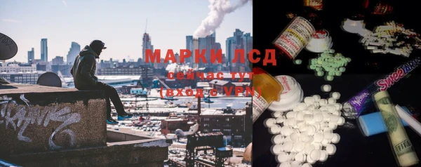 сатива Волосово