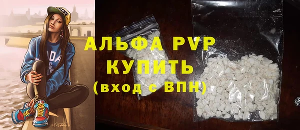 прущая мука Вяземский