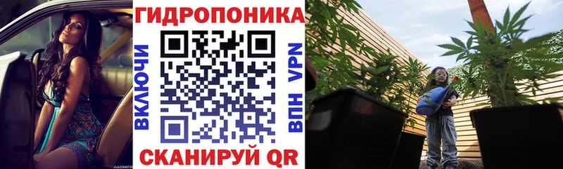 Канабис планчик  где купить   Лянтор 